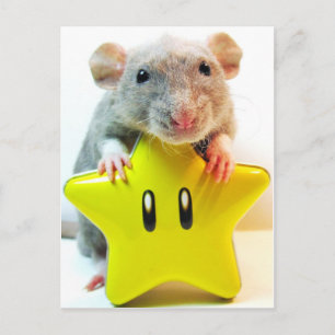 Optimus Star Postcard