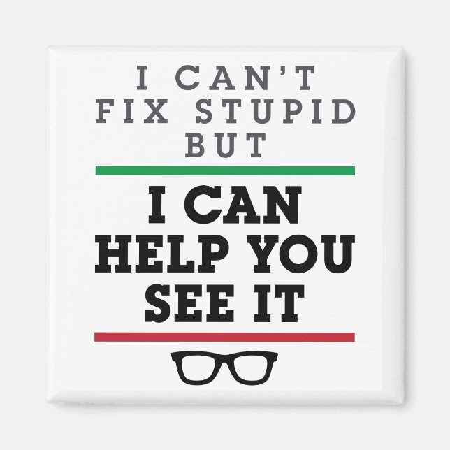 Optometrist Optometry Ophthalmology See Stupid Magnet (Front)