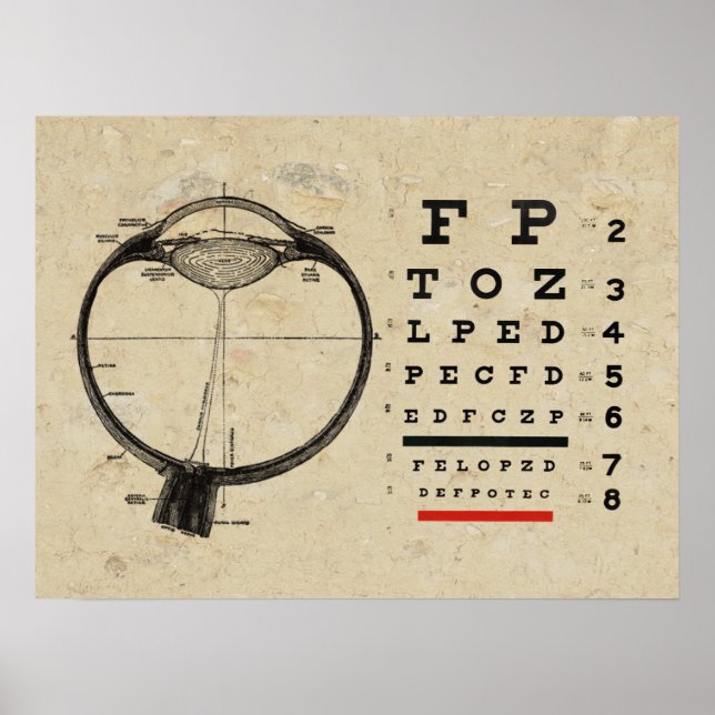 Optometry Poster Ophthalmologist Eye Chart (Front)