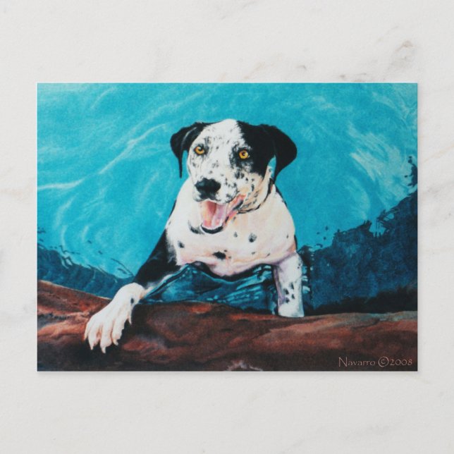 OPUS POSTCARD (Front)