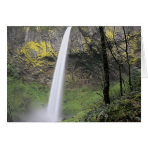 OR, Columbia River Gorge, Elowah Falls, McCord