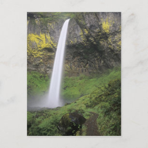 OR, Columbia River Gorge, Elowah Falls, McCord 2 Postcard