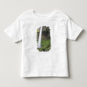 OR, Columbia River Gorge, Elowah Falls, McCord 2 Toddler T-Shirt