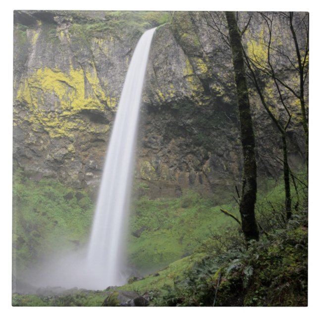 OR, Columbia River Gorge, Elowah Falls, McCord Tile (Front)