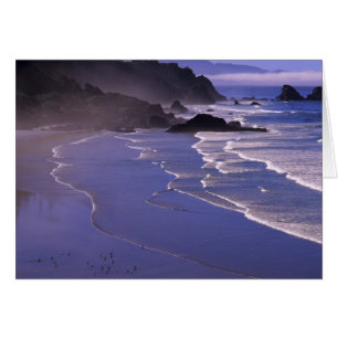 OR, Oregon Coast, Ecola SP, Indian Beach with