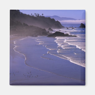 OR, Oregon Coast, Ecola SP, Indian Beach with Magnet