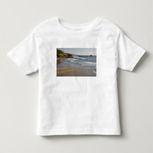 OR, Oregon Coast, Ecola State Park, Indian Toddler T-Shirt