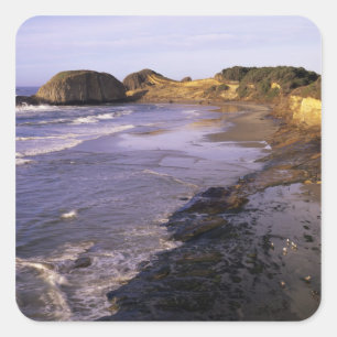 OR, Oregon Coast, Newport, shoreline at Seal