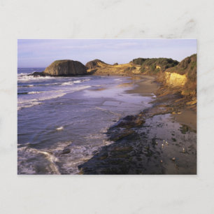 OR, Oregon Coast, Newport, shoreline at Seal Postcard