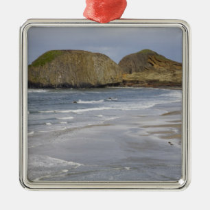 OR, Oregon Coast, Seal Rock State Park, Metal Tree Decoration