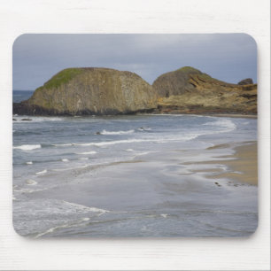 OR, Oregon Coast, Seal Rock State Park, Mouse Mat