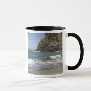 OR, Oregon Coast, Whaleshead Beach, South Mug