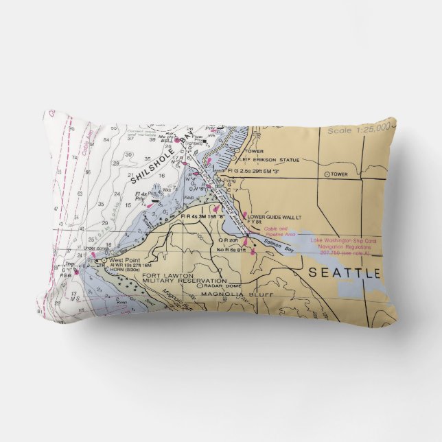 OR_Seattle_Lumbar_ShilsholeBay Lumbar Cushion (Front)