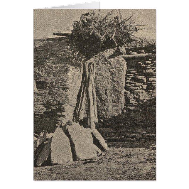 Oraibi houses (Front)