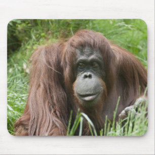 Orang Utan Lady Mouse Mat