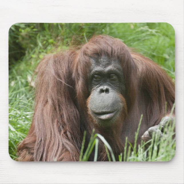 Orang Utan Lady Mouse Mat (Front)