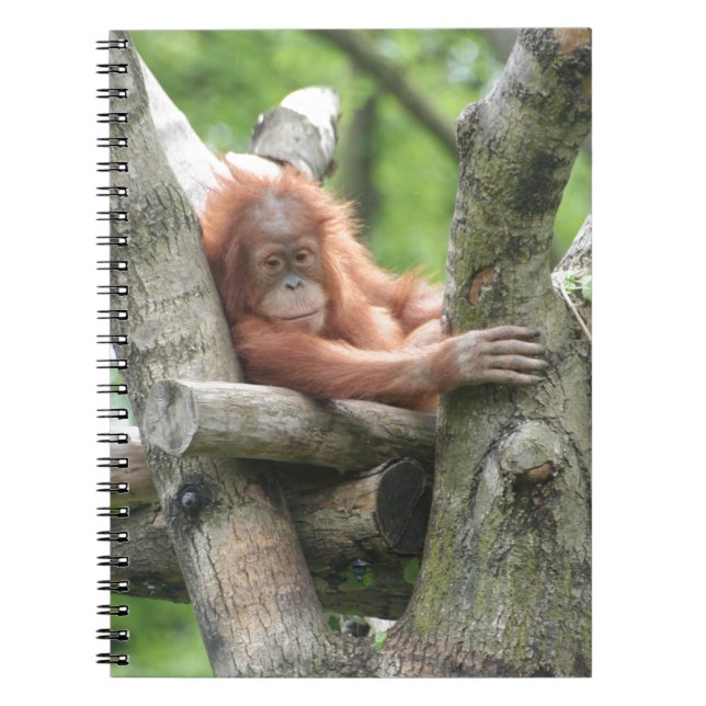 Orang-Utan Notebook (Front)
