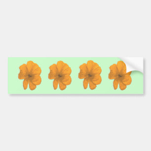 Orange Aid/ PopArt Flower Bumper Sticker
