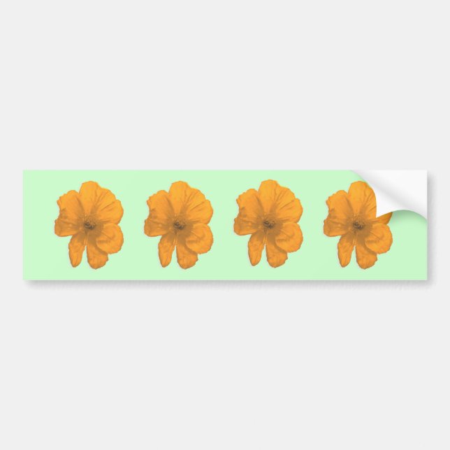 Orange Aid/ PopArt Flower Bumper Sticker (Front)