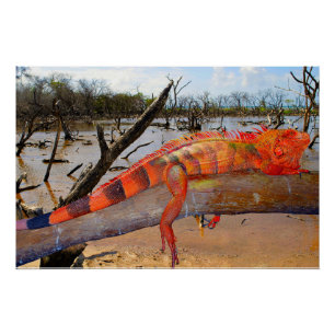 Orange and black lizard in Margarita Glossy Poster