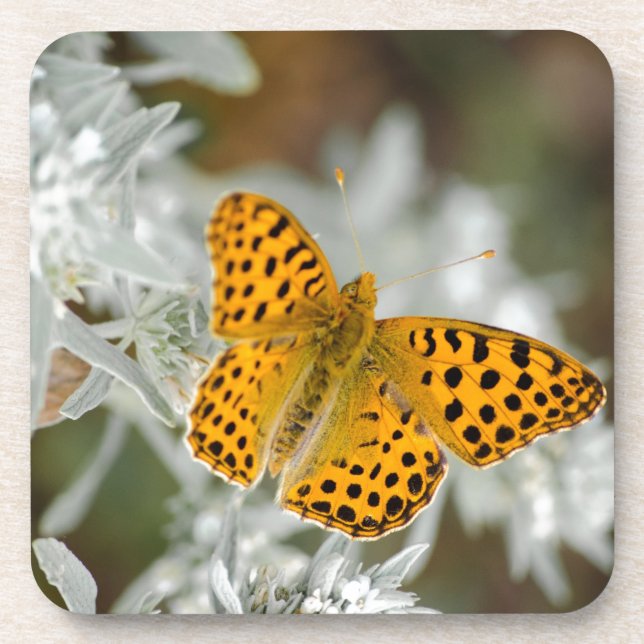Orange and Black Spotted Butterfly Coaster (Front)
