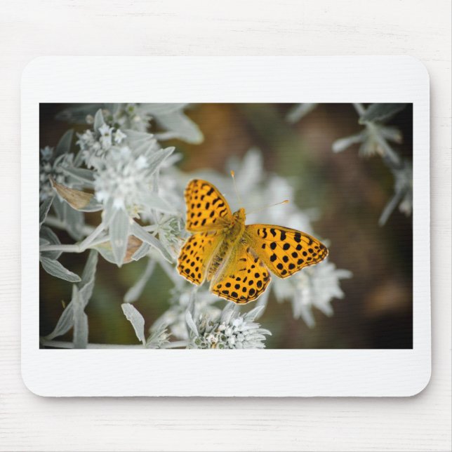 Orange and Black Spotted Butterfly Mouse Mat (Front)
