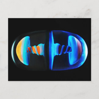 Orange and Blue Glass Shroom Capsule Postcard