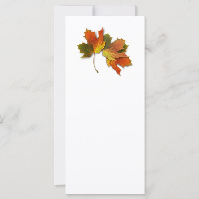 Orange And Golden  Autumn Leaves (Front)