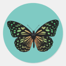 Orange And Green Spotted Butterfly