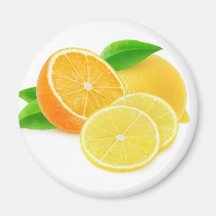 Orange and lemon magnet