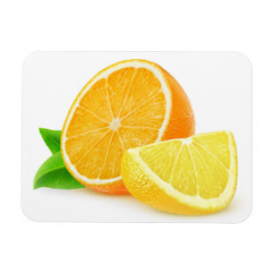 Orange and lemon pieces magnet