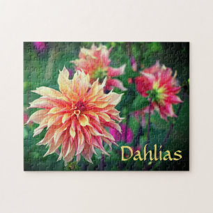 Orange and Pink Dahlia Flowers Jigsaw Puzzle