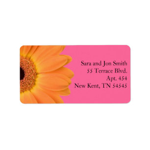 Orange and Pink Gerber Daisy Address Labels