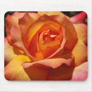 Orange and Pink Rose Mouse Mat