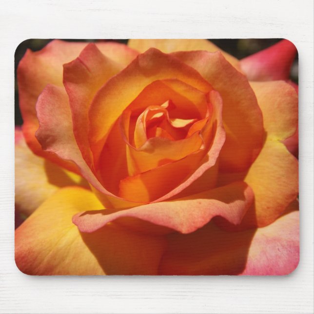 Orange and Pink Rose Mouse Mat (Front)