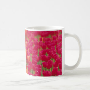 Orange and Pink Tulips Coffee Mug