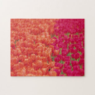 Orange and Pink Tulips Jigsaw Puzzle