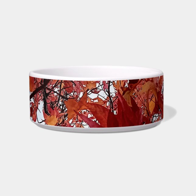 Orange and red leaves bowl (Front)