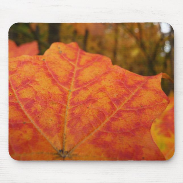 Orange and Red Maple Leaf Abstract Autumn Nature Mouse Mat (Front)