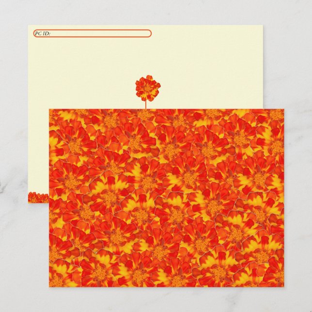 Orange and Red Marigold Floral Postcard (Front/Back)