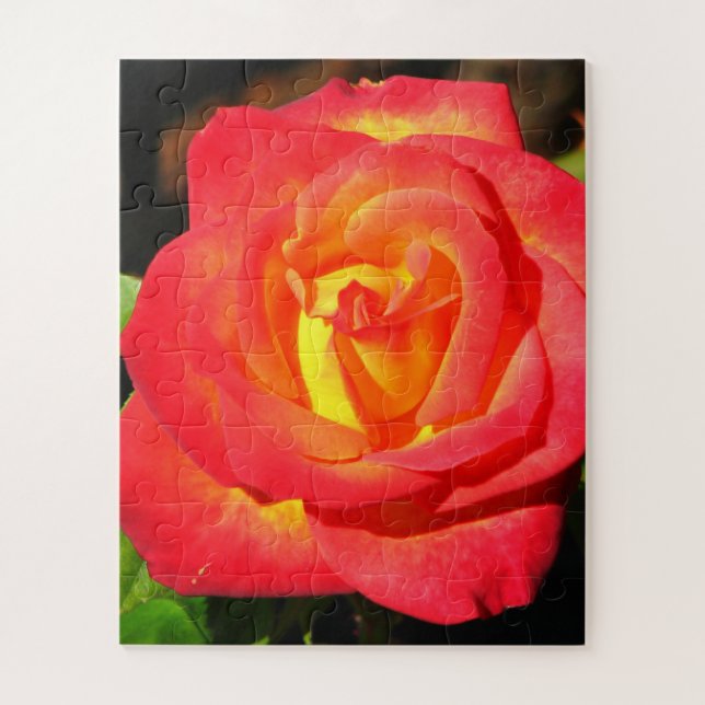 Orange and Red Rose Up Close Jigsaw Puzzle (Vertical)
