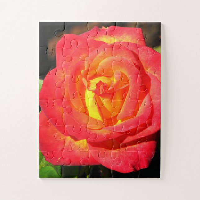 Orange and Red Rose Up Close Jigsaw Puzzle (Vertical)