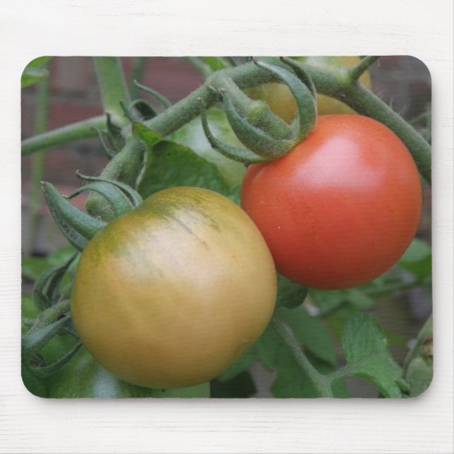 Orange and Red Tomatoes Mousepad (Front)