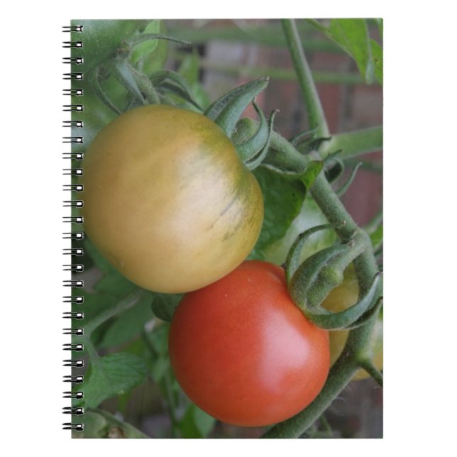 Orange and Red Tomatoes Notebook (Front)