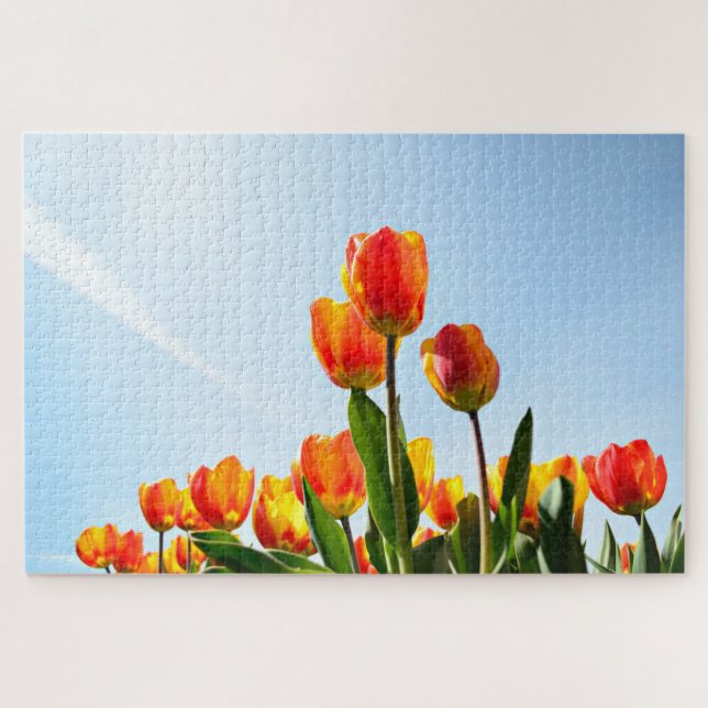 Orange and red tulips from below jigsaw puzzle (Horizontal)