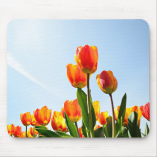 Orange and red tulips from below mouse mat