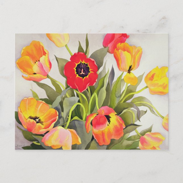 Orange and Red Tulips Postcard (Front)
