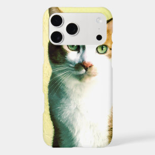 Orange and white cat on pale yellow