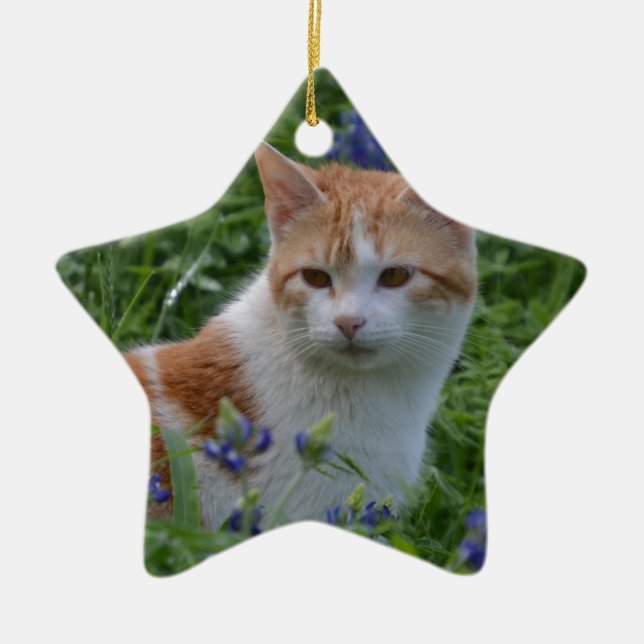 Orange and White Tabby Ceramic Tree Decoration (Front)