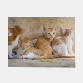 Orange and White Tabby Kitten/Add Your Pet's Photo Doormat